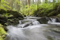 Land erleben