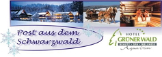 Hotel Grnder Wald